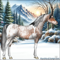 Horse Color:Bay Ice Roan Tobiano