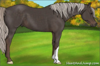 Horse Color:Silver Black 