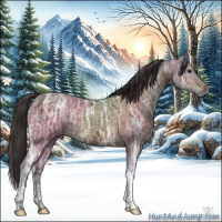 Horse Color:Buckskin Ice 