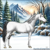Horse Color:White Spotted Brown Ice 