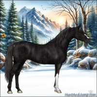 Horse Color:Smoky Black Ice 