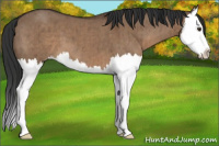Horse Color:Liver Red Dun Splash Brindle 