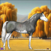 Horse Color:Liver Red Roan Mushroom Splash Rabicano