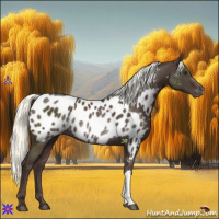Horse Color:Liver Chestnut Mushroom Near Leopard Rabicano 