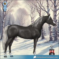 Horse Color:Liver Chestnut Mushroom Rabicano 