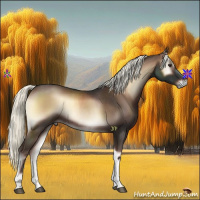 Horse Color:Liver Red Onyx Mushroom Rabicano 