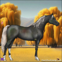 Horse Color:Liver Chestnut Mushroom 