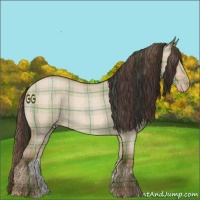 Horse Color:Plaid Sable Champagne Roan Dun