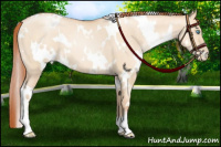 Horse Color:White Spotted Sable Champagne Pearl Dun