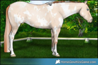 Horse Color:White Spotted Sable Champagne Pearl Dun 