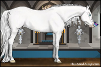 Horse Color:Cremello 