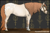 Horse Color:Amber Champagne Roan Pearl Dun Sabino Varnish Rabicano 
