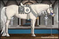 Horse Color:Cremello 