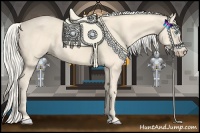 Horse Color:Cremello 