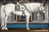 Horse Color:Cremello Roan