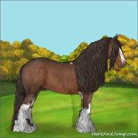 Horse Color:White Spotted Liver Chestnut Tobiano 