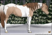 Horse Color:Liver Chestnut Pearl Tobiano 