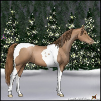 Horse Color:Liver Chestnut Pearl Tobiano