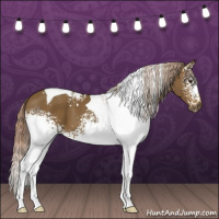 Horse Color:White Spotted Chocolate Palomino Tobiano 