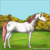 Horse Color:Painted Silver Classic Champagne Roan Dun Splash Frame 