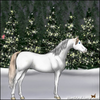 Horse Color:Bay Pearl Dun Splash Tobiano Appaloosa