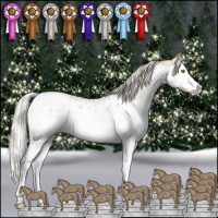Horse Color:Silver Bay Pearl Dun Splash Appaloosa 