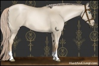 Horse Color:Chocolate Palomino Pearl Dun 