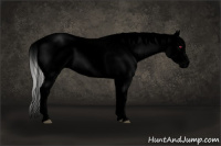 Horse Color:Void Watercolor White Spotted Silver Brown Chinchilla Dun Blanket 