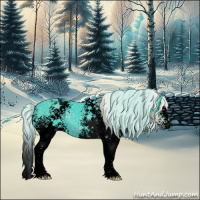 Horse Color:Void Watercolor White Spotted Silver Black Chinchilla 