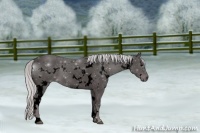 Horse Color:Void Platinum White Spotted Silver Smoky Black 
