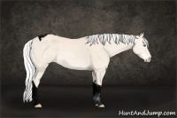 Horse Color:Void Silver Perlino Tobiano 