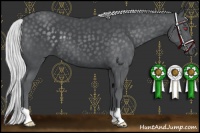 Horse Color:Silver Black Chinchilla