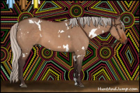 Horse Color:White Spotted Silver Brown Dun 
