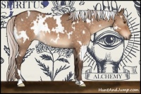 Horse Color:White Spotted Silver Brown Roan Dun 