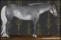 Horse Color:Silver Black Chinchilla