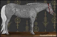 Horse Color:Silver Smoky Black Chinchilla 