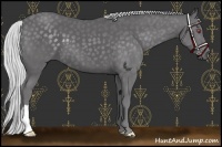 Horse Color:Silver Smoky Black Chinchilla 