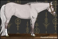 Horse Color:Chocolate Silver Grullo Chinchilla Sabino