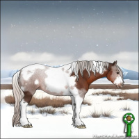 Horse Color:Silver Brown Tobiano Frame 