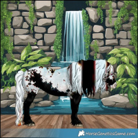 Horse Color:Watercolor White Spotted Silver Brown Chinchilla Ice Dun Splash 