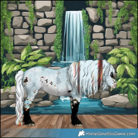 Horse Color:Watercolor White Spotted Silver Brown Chinchilla Ice Dun Splash 