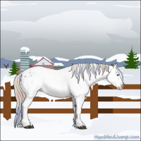 Horse Color:Nacre Watercolor White Spotted Midnight Silver Brown Ice Onyx Splash Appaloosa 