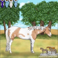 Horse Color:White Spotted Silver Brown Pearl Splash Tobiano Frame Rabicano 