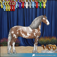 Horse Color:White Spotted Silver Black 