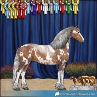 Horse Color:White Spotted Silver Black 