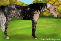 Horse Color:Void Silver Classic Champagne Tobiano 