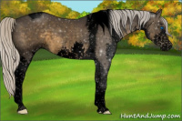 Horse Color:Void Silver Smoky Black Splash Tobiano 