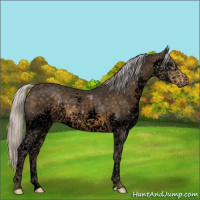 Horse Color:Void Silver Smoky Black Splash Tobiano 