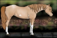 Horse Color:Red Roan Pearl Tobiano Frame