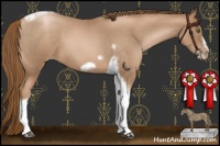 Horse Color:Liver Red Roan Pearl Tobiano Frame